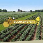 Hof Blankemeyer