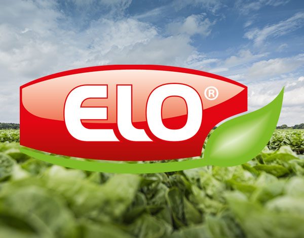 elo