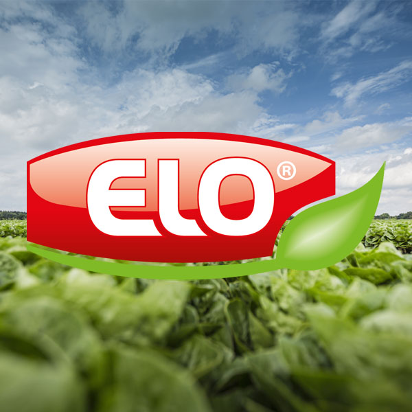 elo