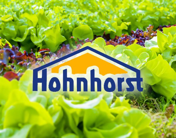 hohnhorst