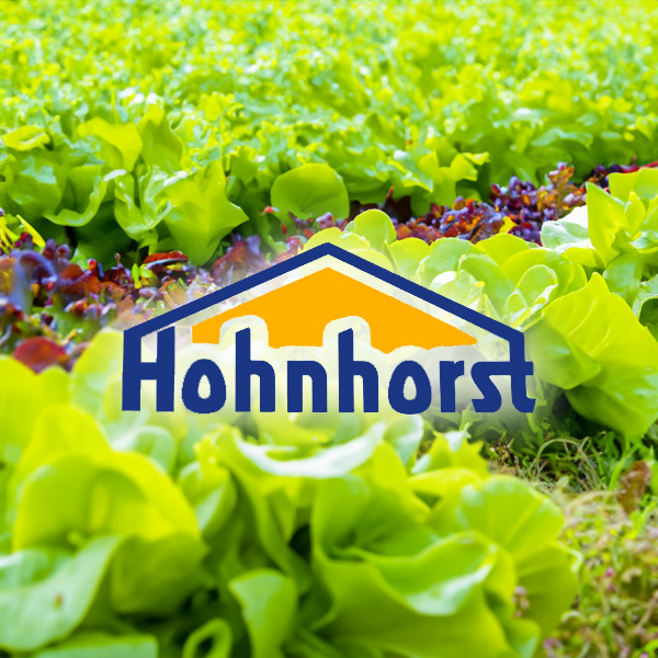 hohnhorst