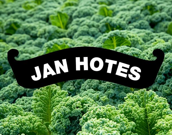 hotes