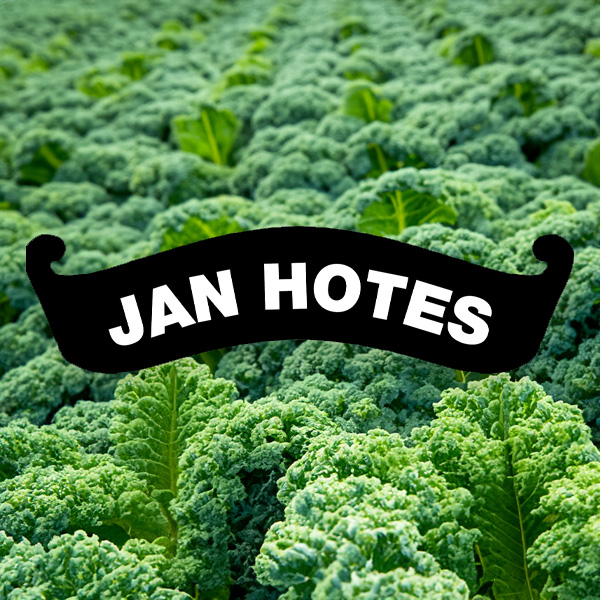 hotes