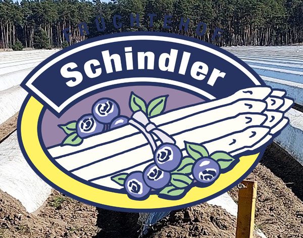 schindler