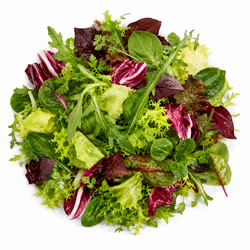 Gourmet Salatmischung
