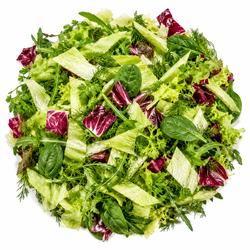 Kubus Salatmischung