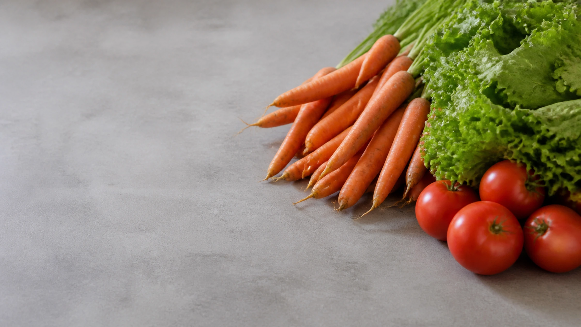 Frische Möhren, Blattsalat und Tomaten im betrieblichen Umfeld