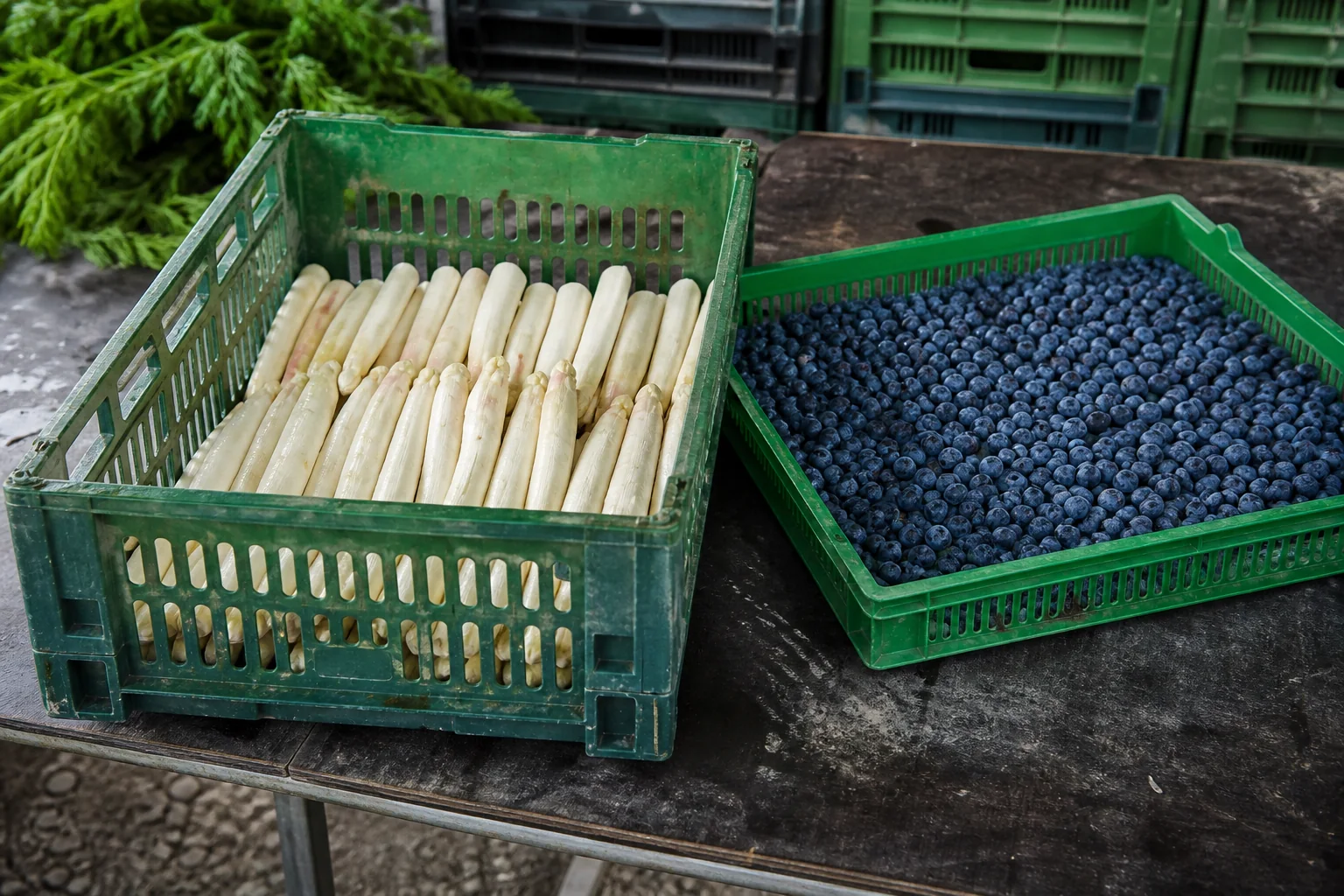 Spargel und Heidelbeeren in neutralen Erntekisten