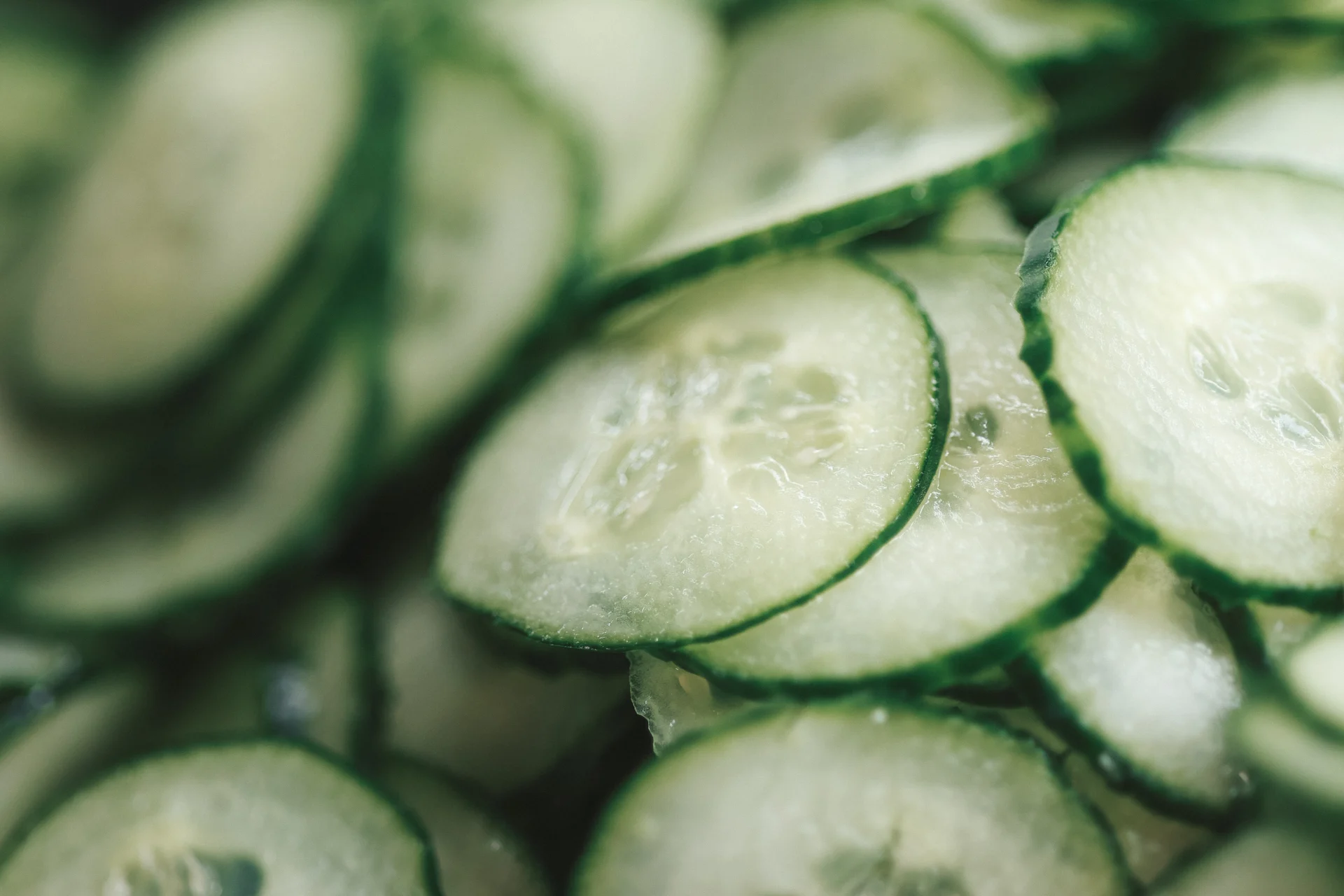Frisch geschnittene Gurken aus eigener Produktion