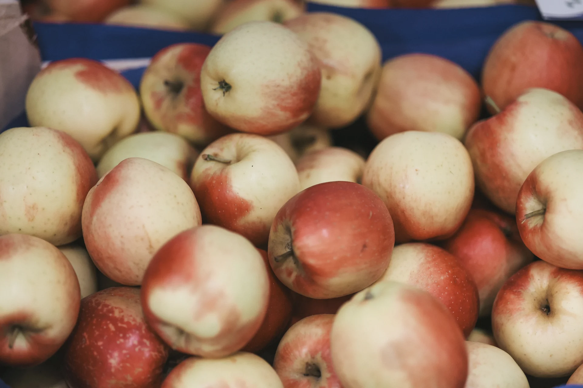 Frische Äpfel aus dem Sortiment
