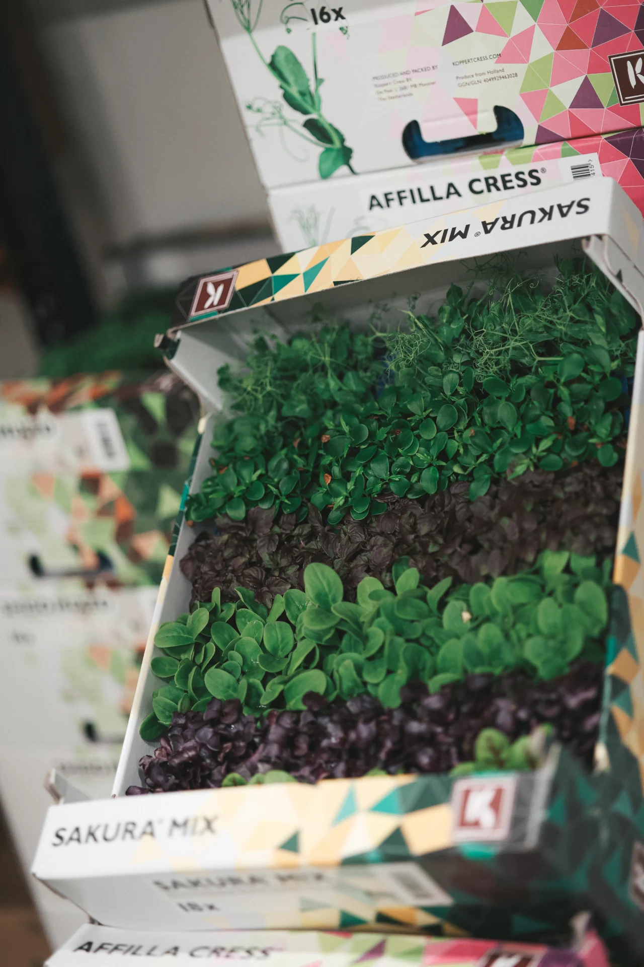 Kräuter und Microgreens im Frischelager