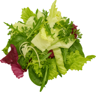 Kubus Salatmischung